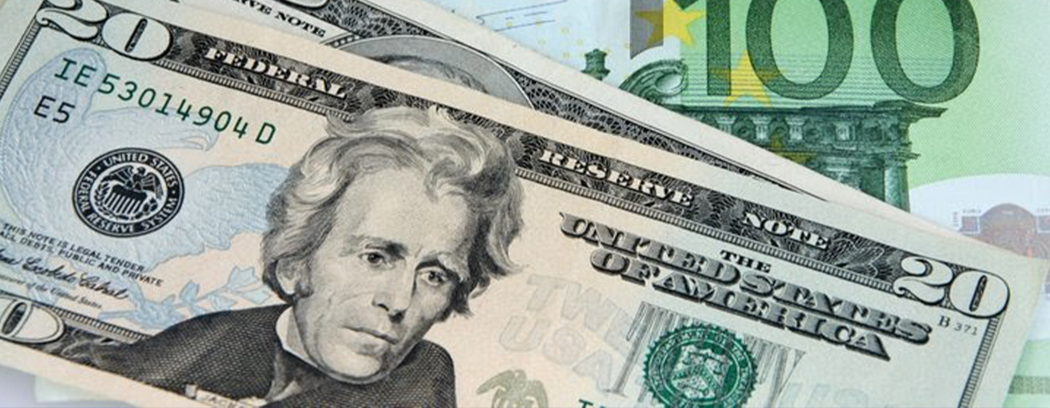 DOLLAR BANNER